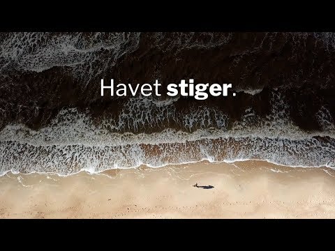 Video: Plantering Av Mangrover Kan Hjälpa Havsnivån Att Stiga I Miami