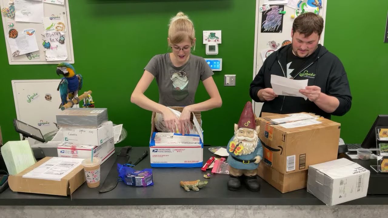 Snake Discovery fan mail live stream!