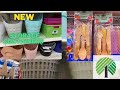 LOOKING FOR NEW STORAGE BINS? **NEW DOLLAR TREE SHOP WITH ME**