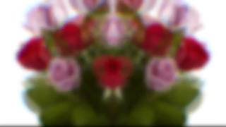 New York City Flowers Cheap