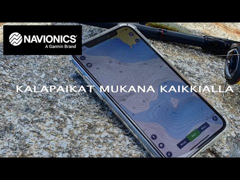 Video: Kuinka Pysyä Mukana Kaikkialla