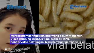 Meresahkan  Video Viral Belatung di Tik tok dan Twitter