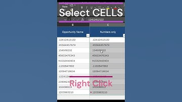 How to Display Cells with only Negative Numbers in Excel⛔