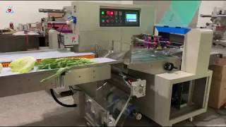 Who to packing vegetable and salad? TCZB-600X horizontal packing machine can help