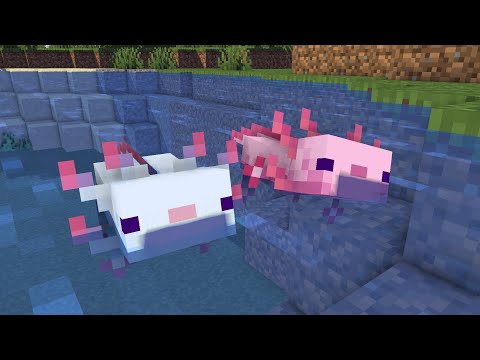 A Baby Axolotl?! | Minecraft Short Animation | Pink Fox Channel #trending