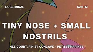 TINY NOSE + SMALL NOSTRILS (528 Hz) - subliminal (FR/ENG) [REQUEST]