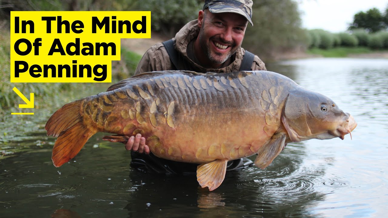 In The Mind Of Adam Penning... Consultancies, Carp and Surviving Lockdown | Carp Fishing 2020