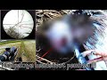 Video Berburu Burung Tekukur Dengan Senapan Angin Sharp Tiger 3