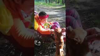 Дружба - собака по кличке Мажор и ребенок с особенными потребностями. Животные любят таких детей! Дружба - собака по кличке Мажор и ребенок с особенными потребностями. Животные любят таких детей!