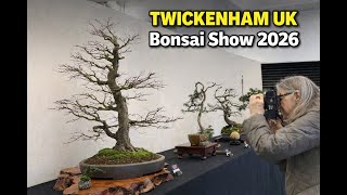 Twickenham Bonsai Show 2026