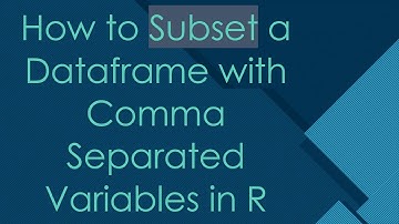 How to Subset a Dataframe with Comma Separated Variables in R