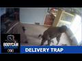Homeowner Ambushed by Fake Delivery Workers