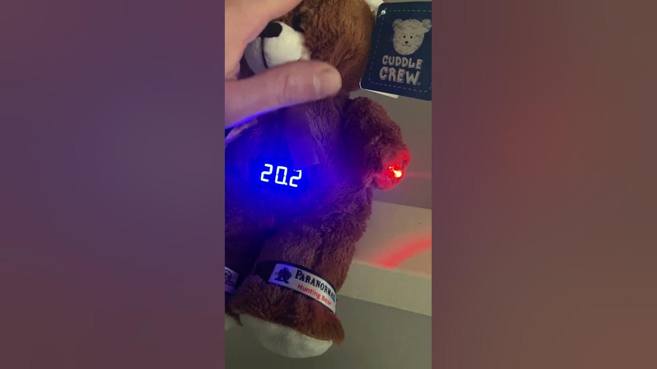 This will be new rem pod bear first one testing and will soon be put up