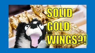 Gold Chicken Wings?  Sullivan Spaniel