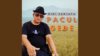 Download Lagu Pacul Gede MP3