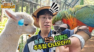이월드 영상