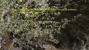 Elgar : String Quartet in E minor  -  II. Piacevole (poco andante)