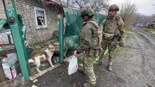 Військові ЗСУ на фронті годують покинутих собак