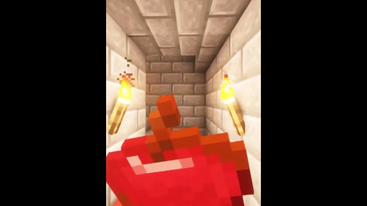 Minecraft: But the night is pitch black