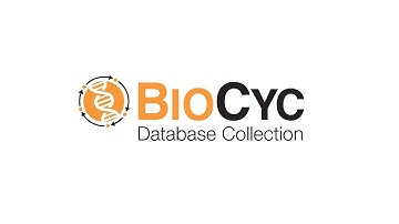 Introduction to BioCyc - A collection of pathway/genome databases