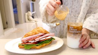 vlog | Salmon steak, croissant sandwich, daily life of clothing brand CEO, osam-bulgogi, tea course