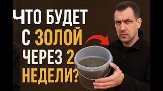 картинка: Что случится с древесной золой через 2 недели? Узнайте — это важно!