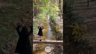 경주여행 경북천년의숲 정원 단풍명소 - 인생 #모정애
