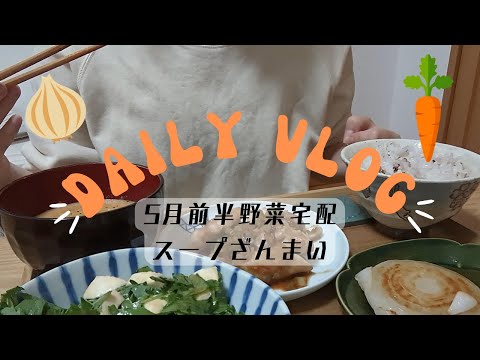 一人暮らしで野菜宅配を頼む女【新玉ねぎレシピ】【スープ作り】