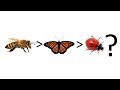 ¿Por qué algunos insectos polinizan más que otros?