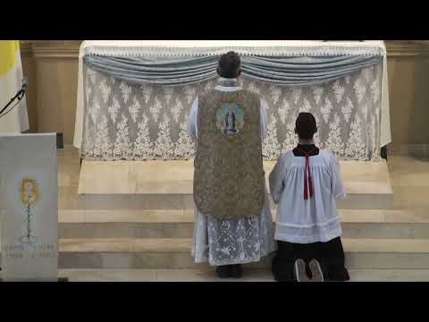 Fairer than the dawn you arise. Feast of the Assumption of the Blessed Virgin Mary. Entrance - FSSPX