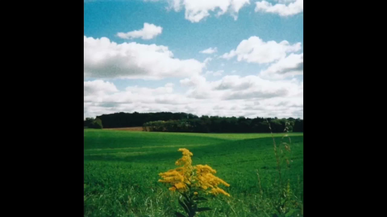 Night Talks - Mark Kozelek (2017) Full EP