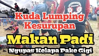Ngeriii!! Banyak Yang Kesurupan - Kuda Lumping Agrabinta Cianjur Selatan
