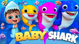 New Baby Shark | Baby Shark doo doo 🦈| #babyshark Most Viewed Video | Animal Songs | #nurseryrhymes