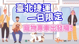臺北捷運一日限定寵物專車出發囉!【PETube編走編看】|#哈寵PETube 第231集