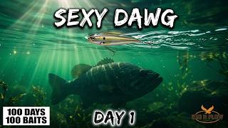 100 Days, 100 Baits | Day 1: Testing the Strike King Sexy Dawg Underwater