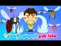 لماذا البعوض يلدغ الإنسان معلومات عن البعوض للأطفال كيف ماذا ولماذا الحلقة ١ 