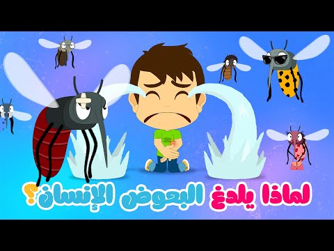 لماذا البعوض يلدغ الإنسان معلومات عن البعوض للأطفال كيف ماذا ولماذا الحلقة ١