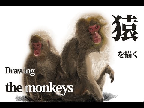 サルの絵を描く Drawing The Monkeys Youtube