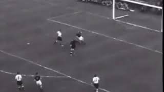 نهائي كأس العالم 1954 المانيا وهنغاريا