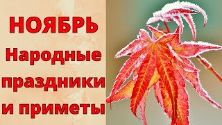 Это Нужно Знать! Ноябрь. Народные Приметы И Праздники Ноября.