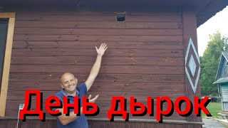 Планировали сегодня крутить гипсокартон , а в итоге пол дня принимали роды.Сколько поросят у Бочки?