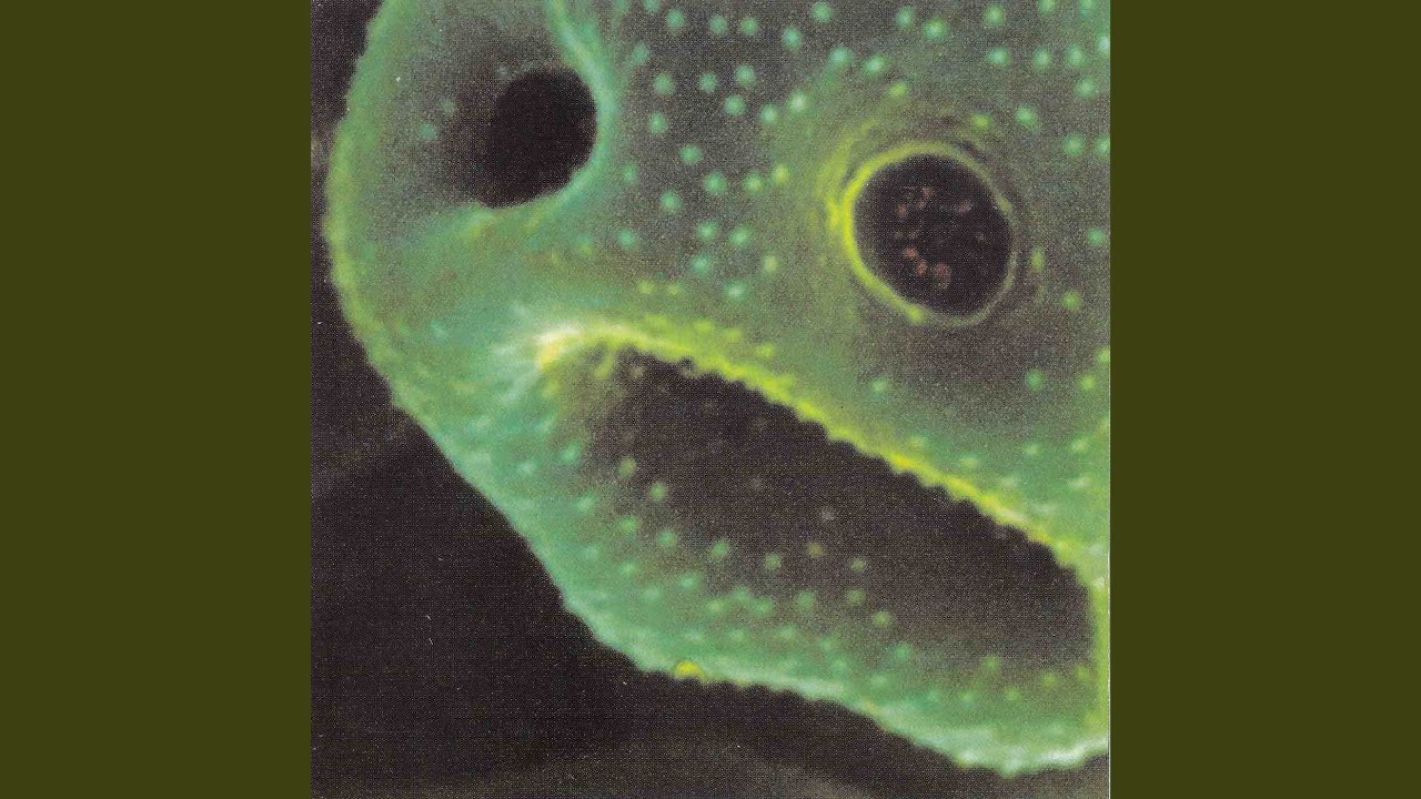 The Wick Effect YouTube