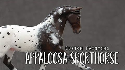 How to paint an Appaloosa model horse
