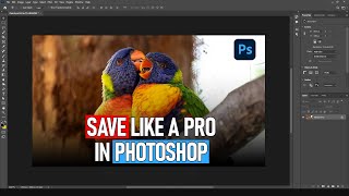 Celebrity Save Like a Pro: Mastering PSD, JPEG, and PNG Formats in Photoshop Net Worth