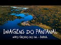 Imagens do Pantanal e músicas CONTEMPLATIVO, compilado de fauna e paisagens (com Drone) - Relaxante