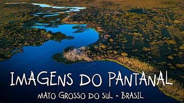 Como é o clima no Pantanal?