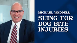 Suing for dog bite injuries in Kansas City | Michael Waddell