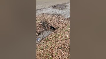 Cleaning a 40 foot culvert pipe out.
