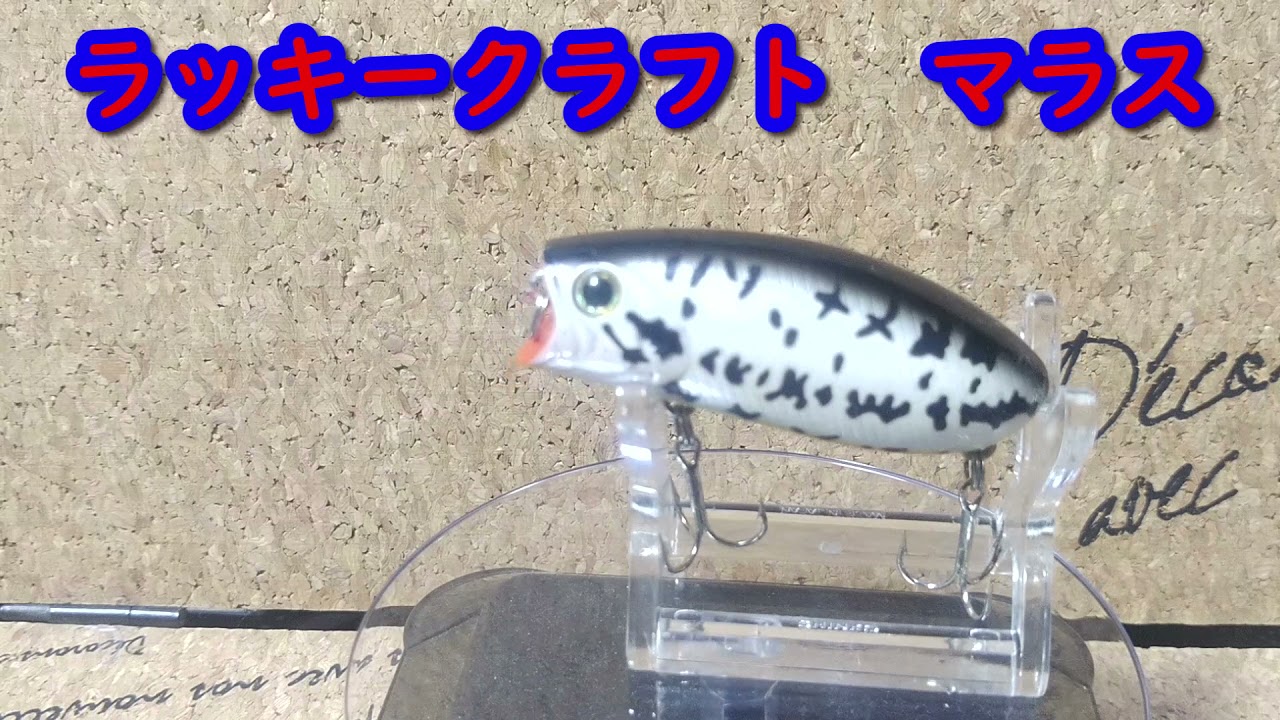 Lure Introduction #88] Maras [LUCKY CRAFT] - YouTube