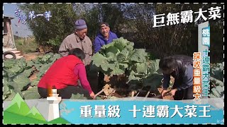 台灣第一等【巨無霸大菜 300公斤南瓜奇人天霸王巨竹筍十連霸大菜王 一公尺蘿蔔妖精】 _精選特輯 #好家在我在家